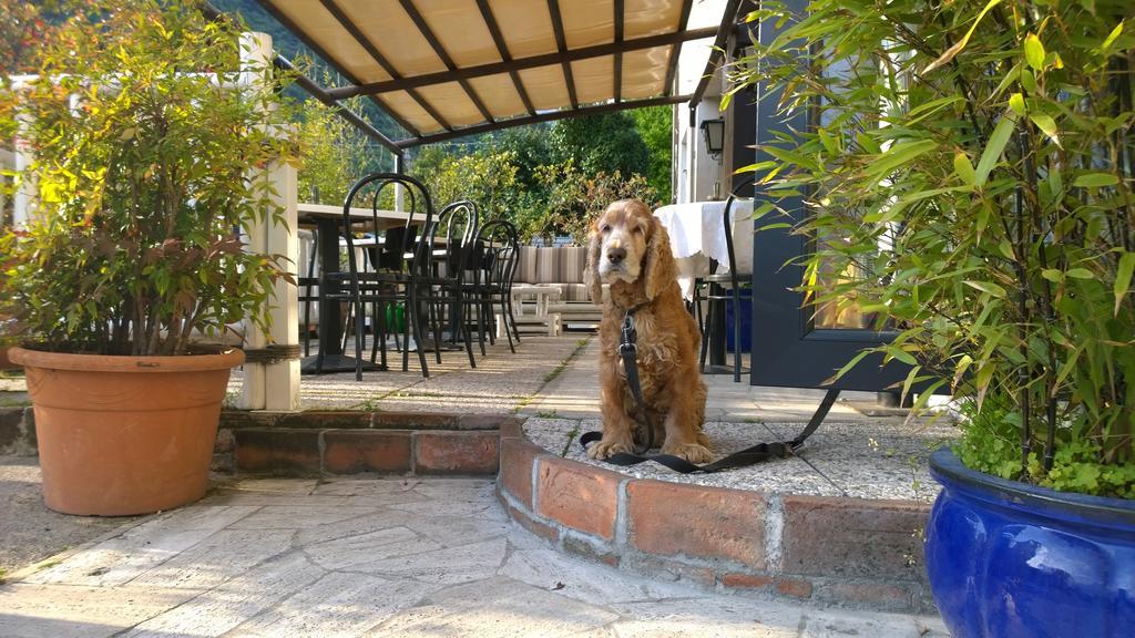 Hotel Cubamia Romano D'Ezzelino Dış mekan fotoğraf